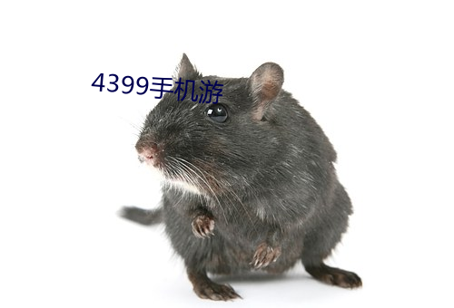 4399手机游