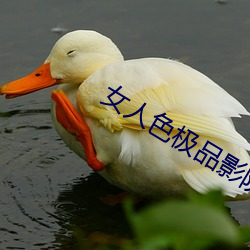 女人色極品影院
