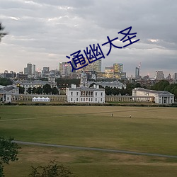 通幽(幽)大圣