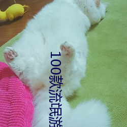 100款(kuǎn)流氓(máng)游戏软件
