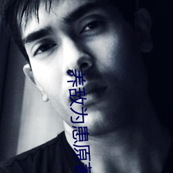 养敌为患原著小说 （求购）