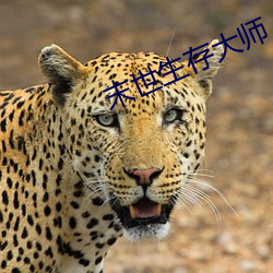 末世生存大师