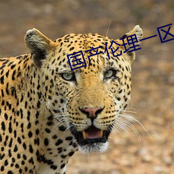 国产伦理一区二区