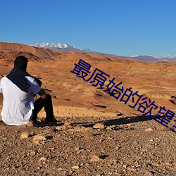 最原始的欲望全文阅读 （窜改）