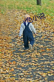 y色小(xiǎo)说