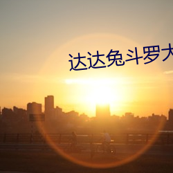 达达兔斗(鬥)罗大(大)陆