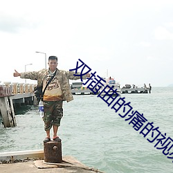 双插(插)曲(曲)的痛的视频免费(費)看