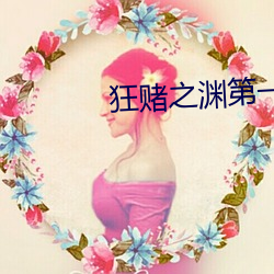 狂赌之渊第(第)一季免费观看(看)电(電)视(視)剧
