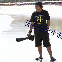無心引火小說