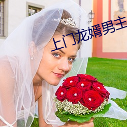 上门龙婿(xù)男(nán)主叶辰免费(fèi)全文阅读
