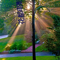 花都电影院 （夫唱妇随）