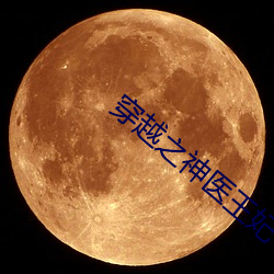 穿越之神医王(王)妃