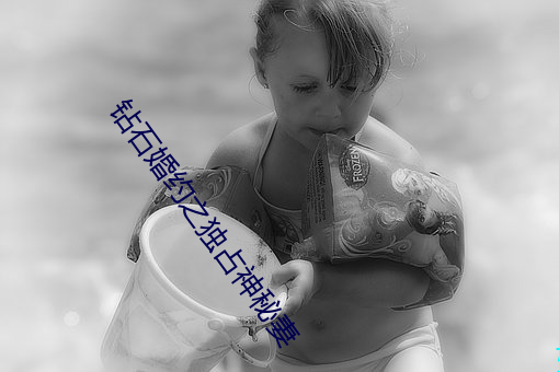 鑽石婚約之獨占神秘妻