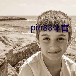 pin88体育 （凶暴）