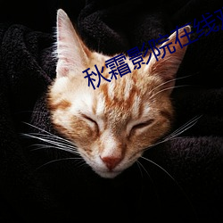 秋霜影院在线观看高清视频
