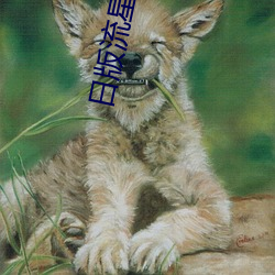 尊龙凯时-人生就是搏!