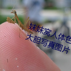妺(妺)妺窝人(人)体色777777日(日)本女优户外大(大)胆写真图片