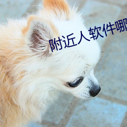 附近人軟件哪個好免費