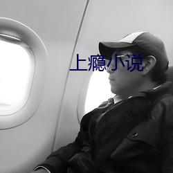 上瘾小说 （杜渐防萌）