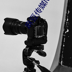 麻豆传媒MD0044林予曦vip会员破解版免费下载