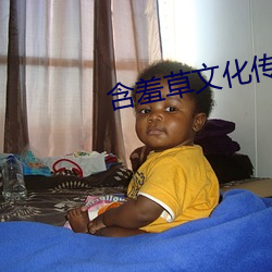 含羞草文化传媒