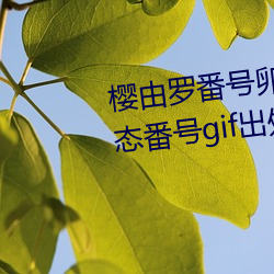 樱由罗番号卵蛋网 邪恶卵蛋网动态番号gif出处