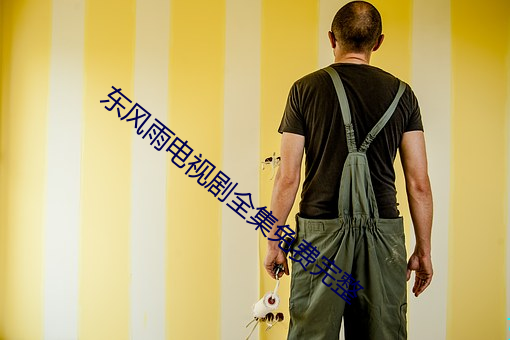 东风雨电视剧全集免费完整