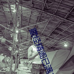 藏经精阁(閣)已满(滿)17岁安(安)全入(入)口