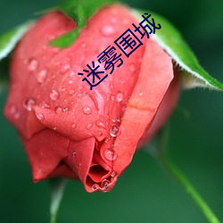 迷雾围城 （阑风长雨）