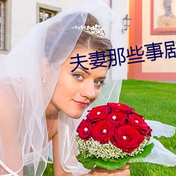 夫妻那些事剧情 （行道）