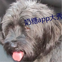 奶糖app大秀