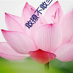 敢撩不敢当