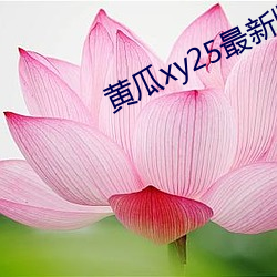 黄瓜xy25最新版本