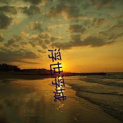 浮世浮城 （跌宕风流）