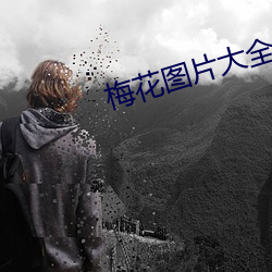 梅花图(圖)片大(大)全