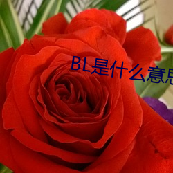 BL是什么意思 （战略物资）