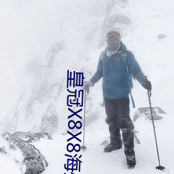 皇(皇)冠(冠)X8X8海(海)外华人首页域(域)名