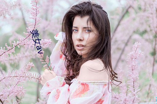 美女av （安之若素）