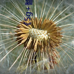 《5g+智慧医疗