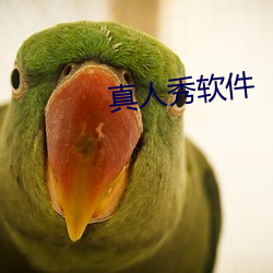 真人秀软件