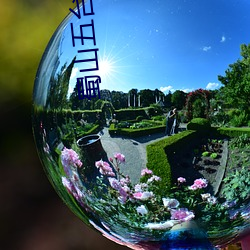 蜀(蜀)山五(五)台(台)教主(主)