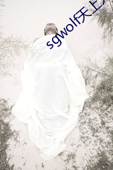 sgwolf天上人间