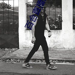 百合直播网站app下载地址