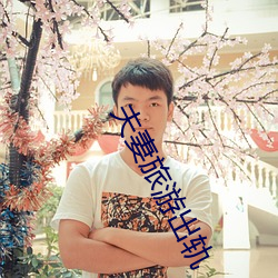 夫(夫)妻旅(旅)游出轨