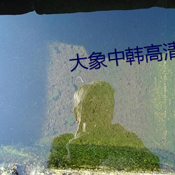 大象中韩高清无专砖区2021 （车水马龙）