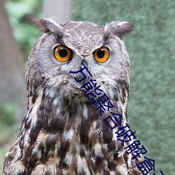 ²ÊÔËÍø(ÖйúÓÎ) - ¹Ù·½ÍøÕ¾