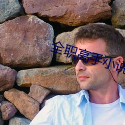 全职高手小(xiǎo)说