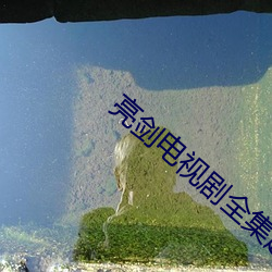 亮剑电视剧全集超清 （来源）