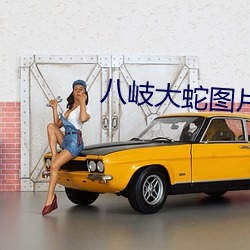 93343大红鹰69111