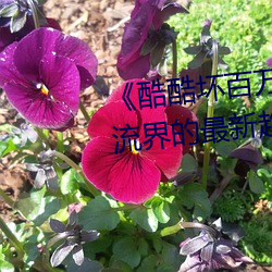 《酷酷(kù)坏百万(wàn)多多(duō)潮流》:探索(suǒ)潮流界(jiè)的最新趋势